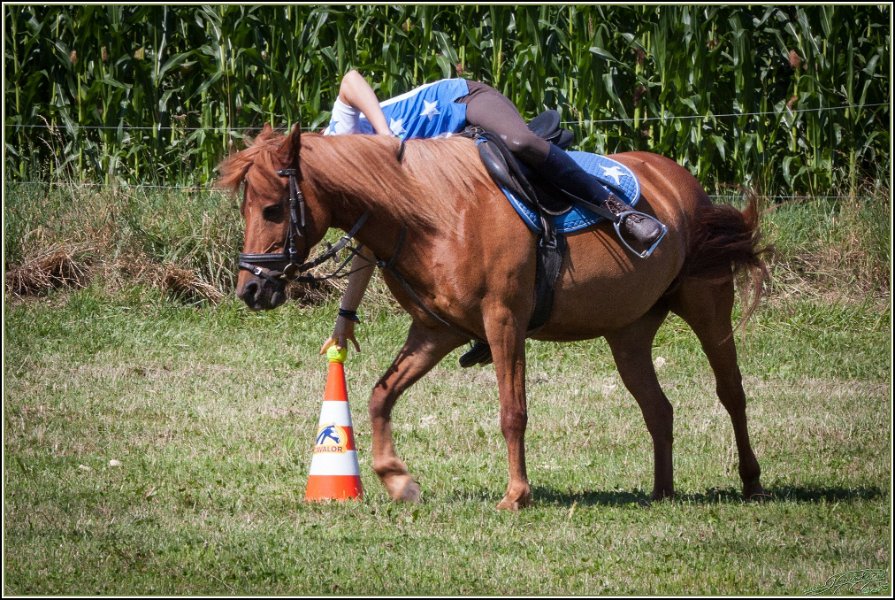 Mounted Games 064